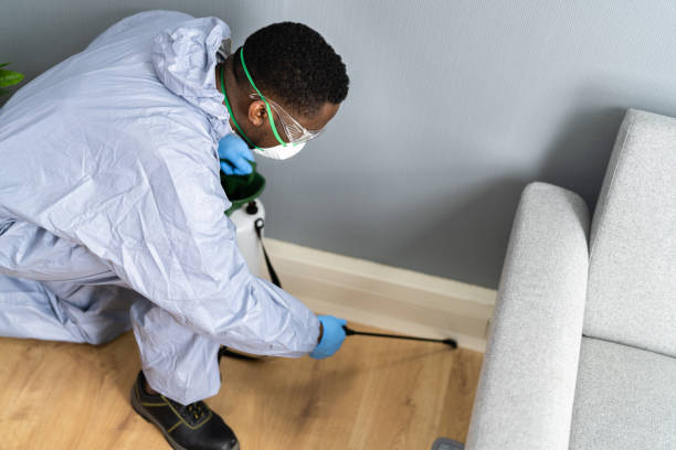 Best Residential Pest Control  in Springfield, MN